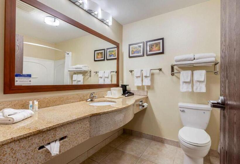 هتل Comfort Inn Ploverstevens Point