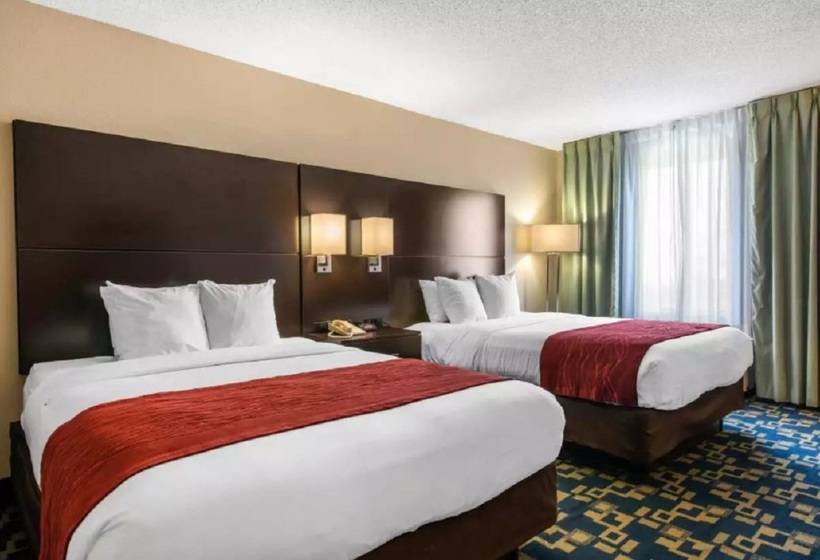 Fotos del hotel Comfort Inn & Suites Near Universal Orlando Resort-convention Ctr:  14
