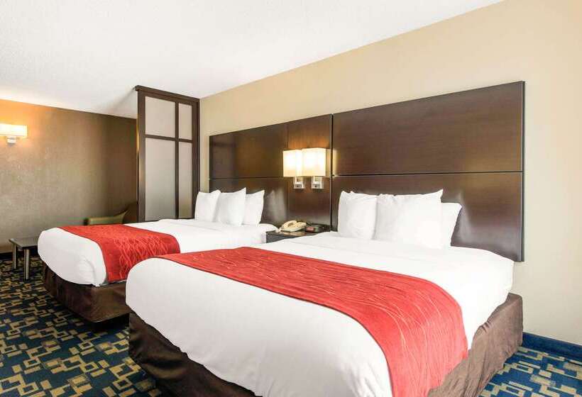 Fotos del hotel Comfort Inn & Suites Near Universal Orlando Resort-convention Ctr:  10