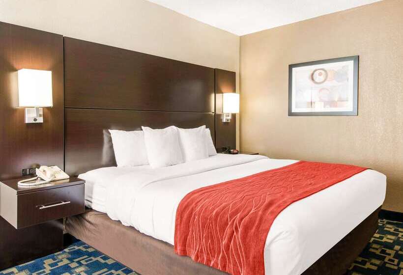 Fotos del hotel Comfort Inn & Suites Near Universal Orlando Resort-convention Ctr:  4