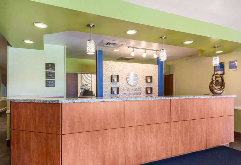 Fotos del hotel Comfort Inn & Suites Near Universal Orlando Resort-convention Ctr:  28