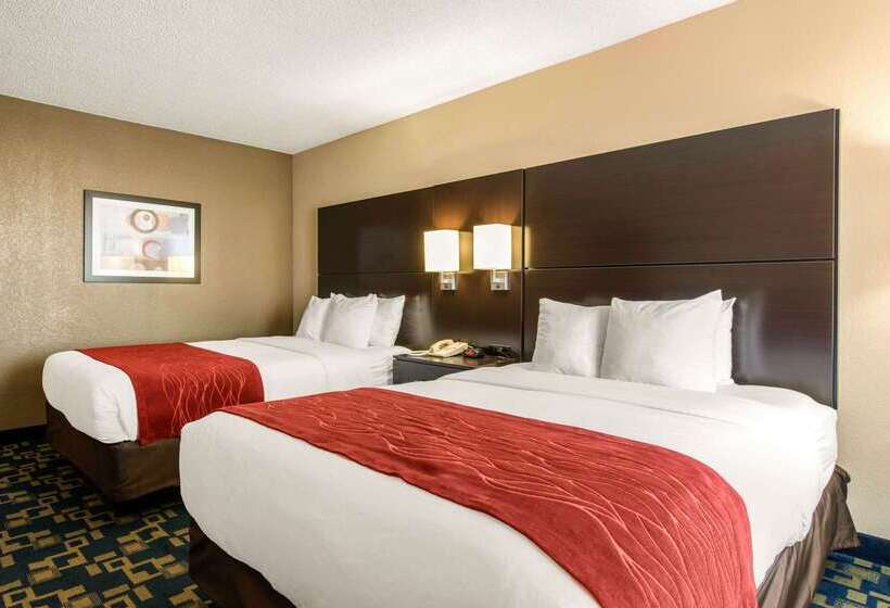 Fotos del hotel Comfort Inn & Suites Near Universal Orlando Resort-convention Ctr:  9