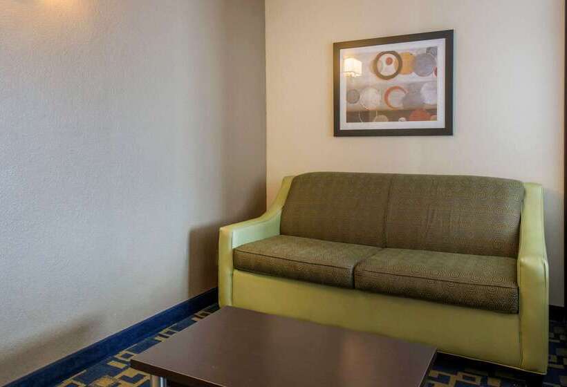 Fotos del hotel Comfort Inn & Suites Near Universal Orlando Resort-convention Ctr:  25