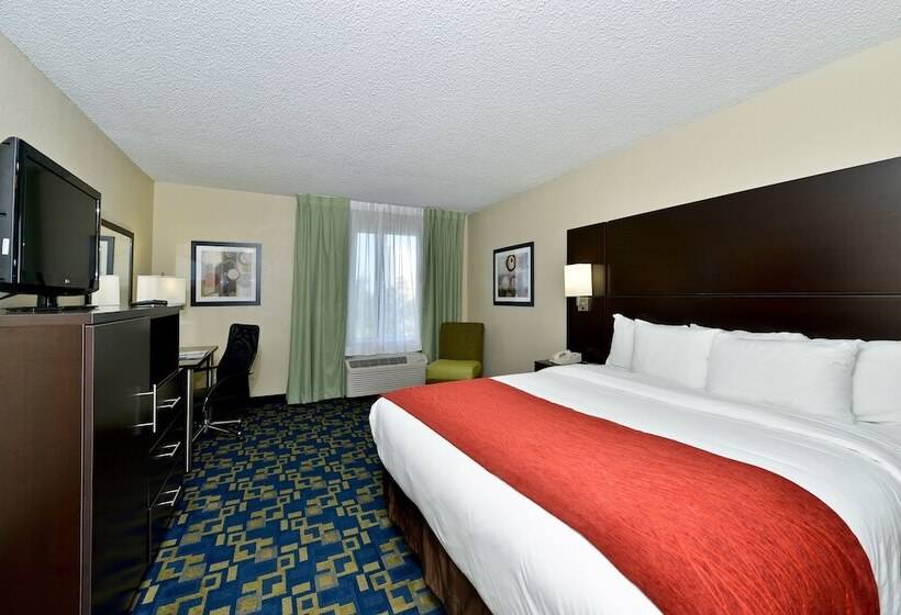 Fotos del hotel Comfort Inn & Suites Near Universal Orlando Resort-convention Ctr:  3