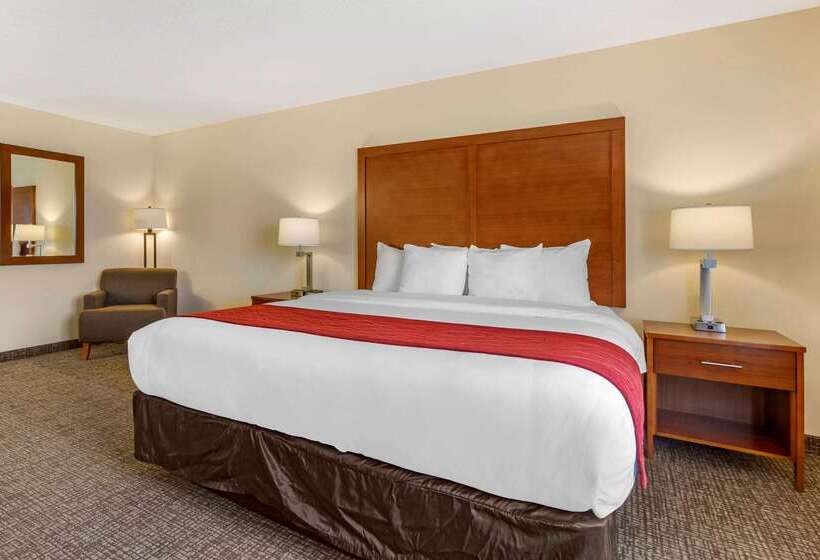 Отель Comfort Inn & Suites