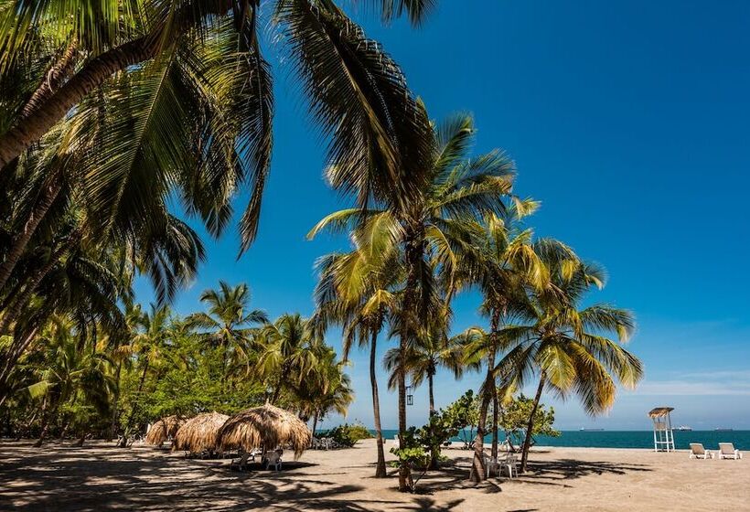 Fotos del hotel Irotama del Mar:  23