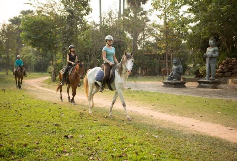Fotos del hotel Navutu Dreams Resort & Wellness Retreat:  7