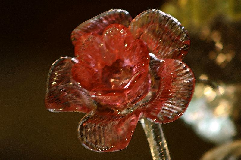 Fotos del hotel Palazzo Cendon Piano Antico:  57