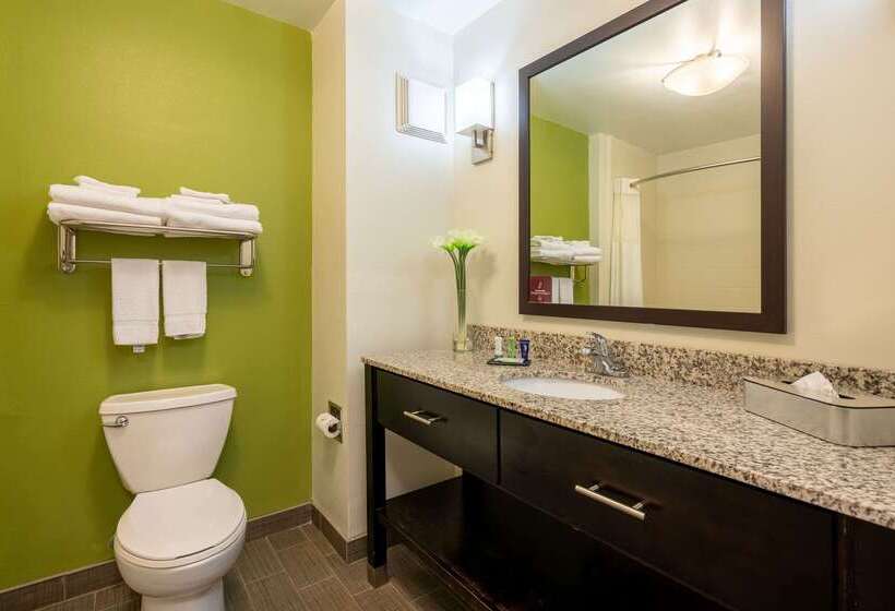 酒店 Sleep Inn & Suites Harbour Pointe