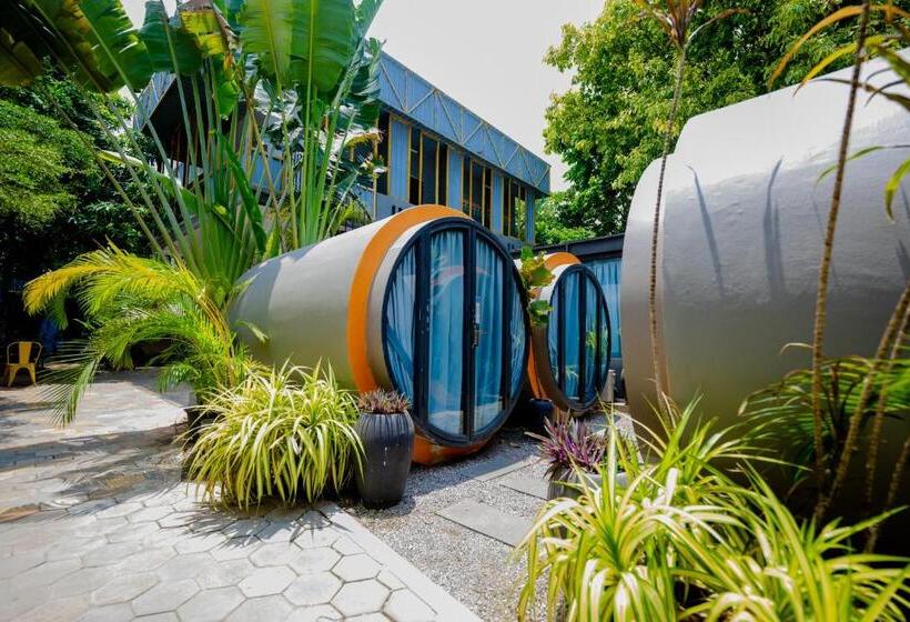 Fotos del hotel White Rabbit Hostel  Adults Only:  35