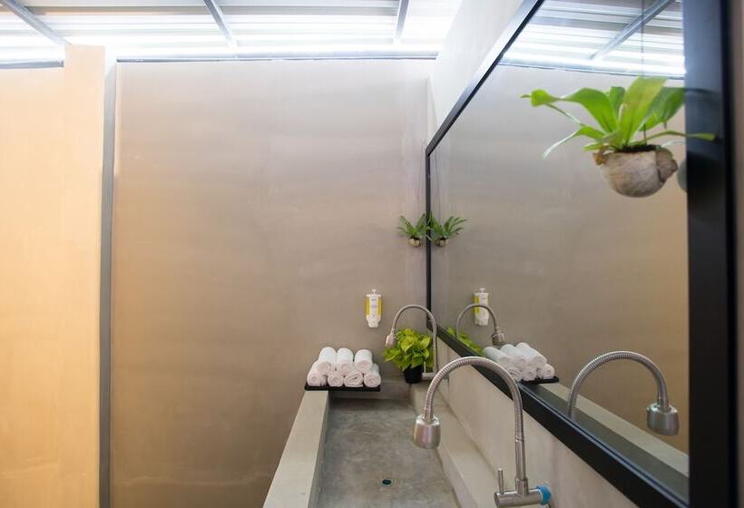 Fotos del hotel White Rabbit Hostel  Adults Only:  25