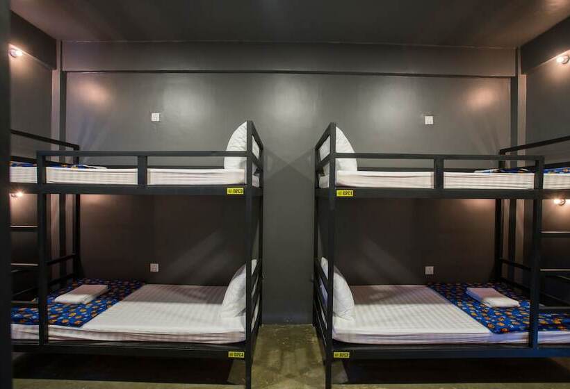 Fotos del hotel White Rabbit Hostel  Adults Only:  33