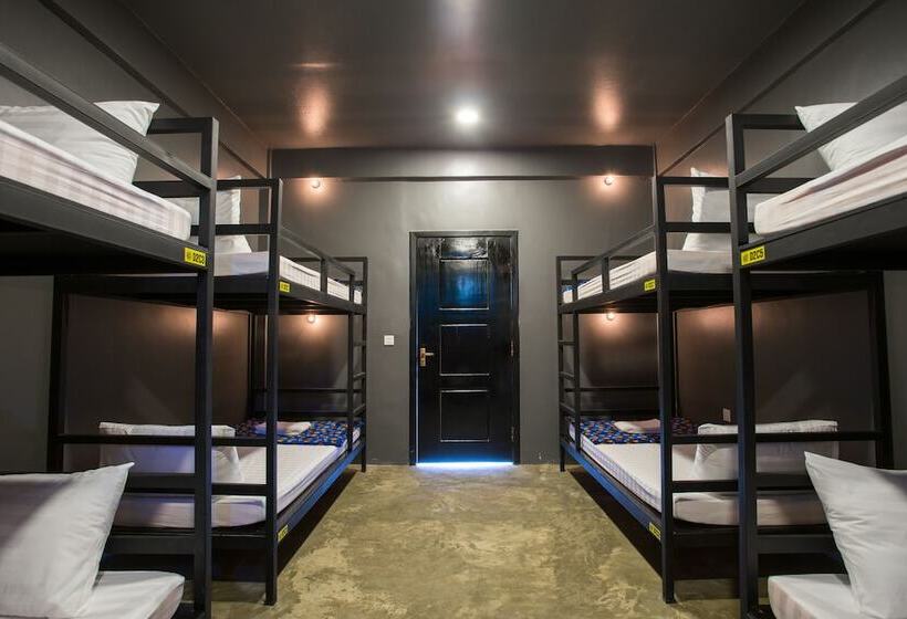 Fotos del hotel White Rabbit Hostel  Adults Only:  13