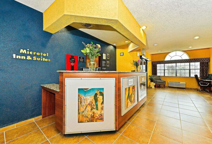 Microtel Inn & Suites By Wyndham New Braunfels