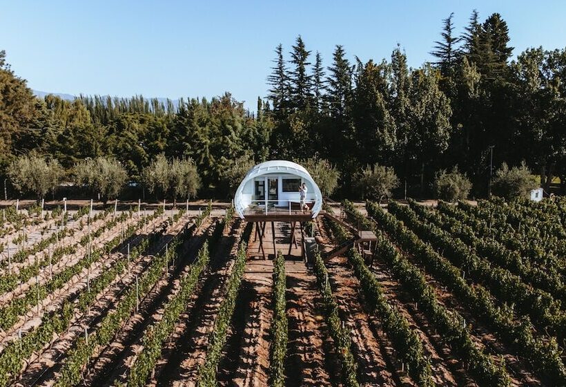 هتل Entre Cielos Wine & Wellness