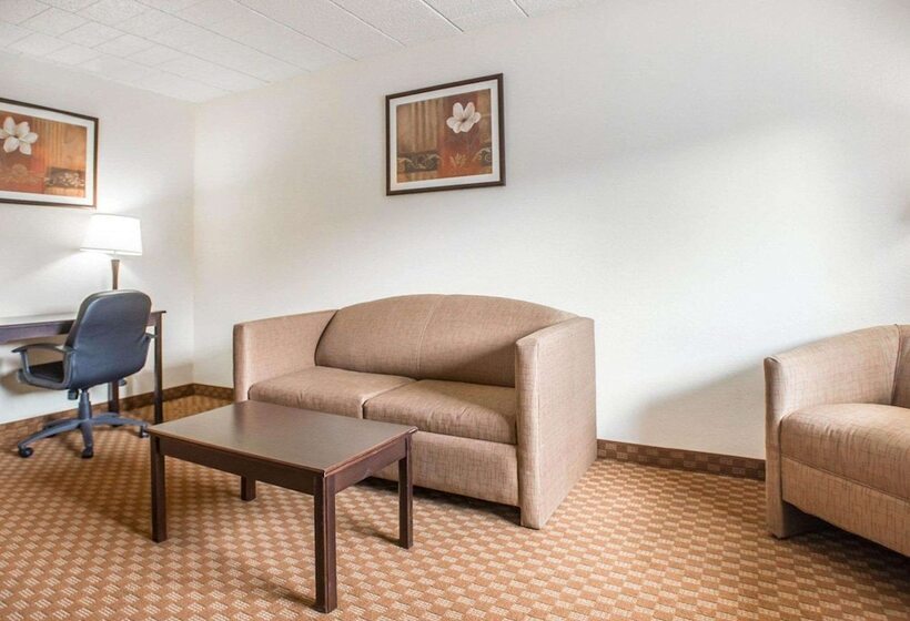 ホテル Econo Lodge Inn & Suites Shamokin Dam   Selinsgrove
