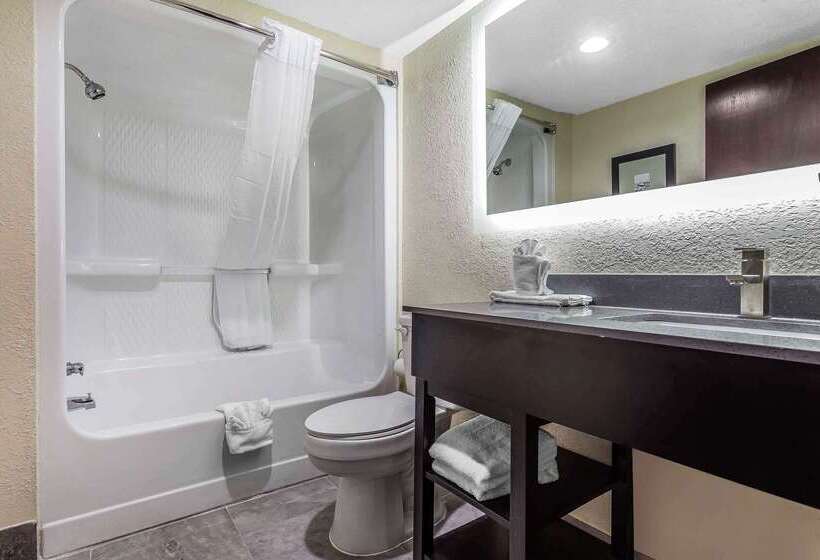 ホテル Quality Inn & Suites