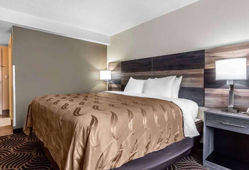 ホテル Quality Inn & Suites