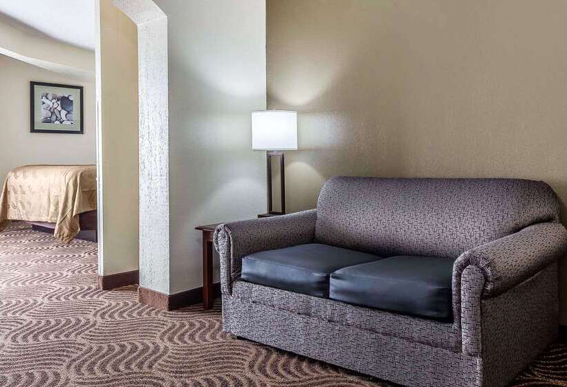 ホテル Quality Inn & Suites