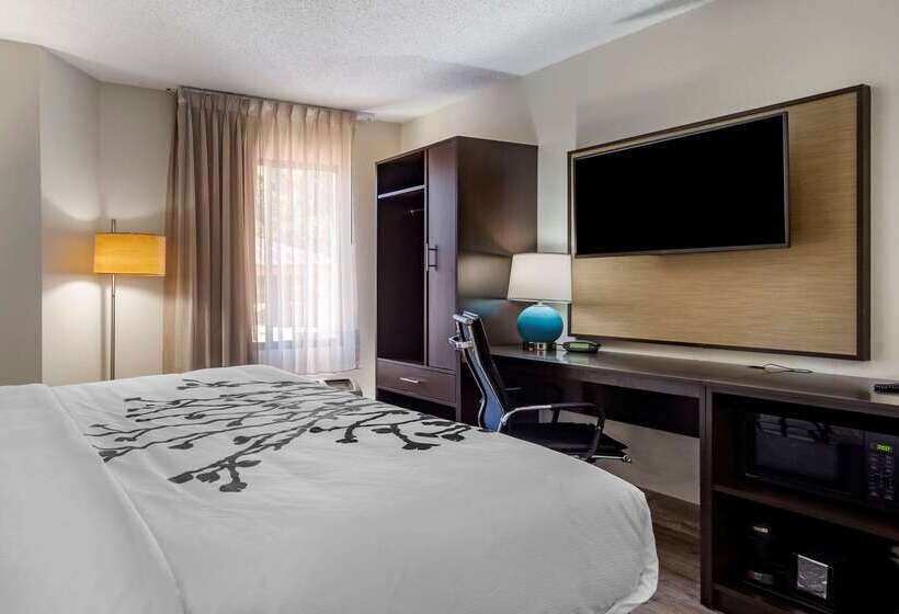 ホテル Sleep Inn  Salisbury I85