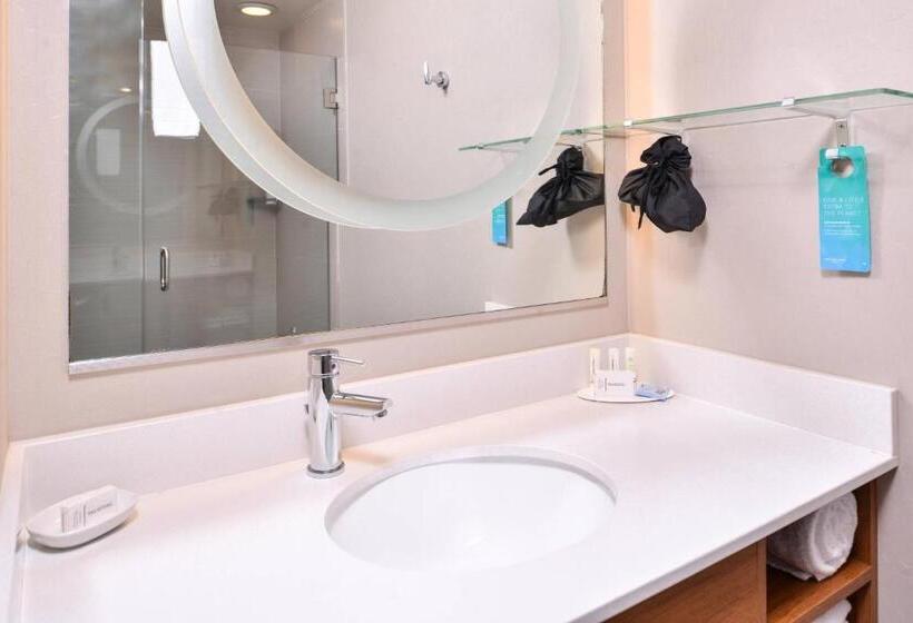 בית מלון כפרי Springhill Suites Temecula Valley Wine Country