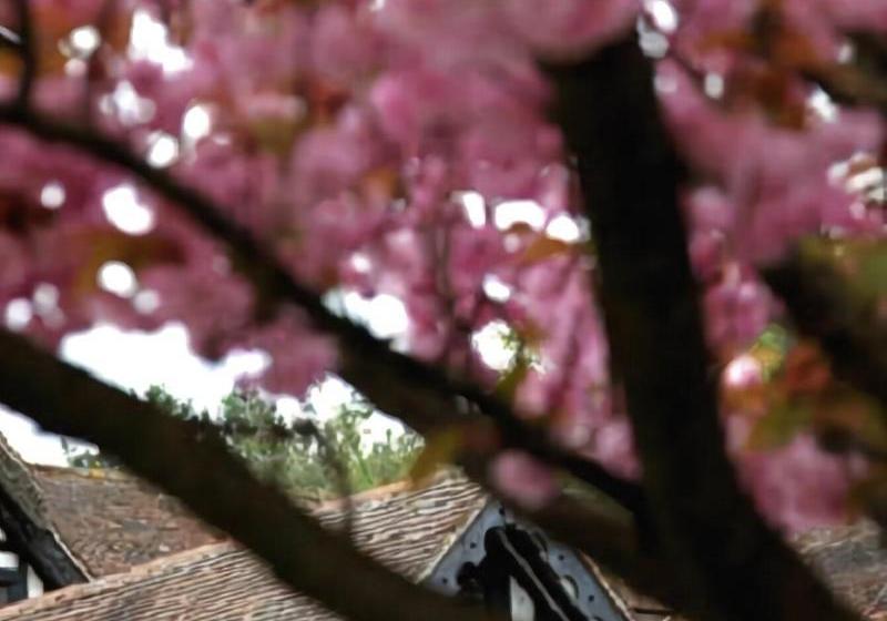 בית מלון כפרי The Grasshopper Inn