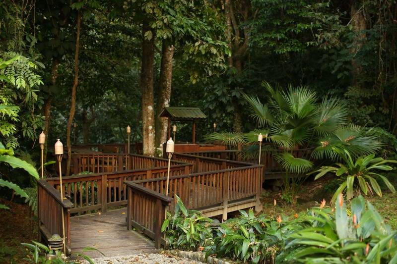 هتل The Lodge At Pico Bonito