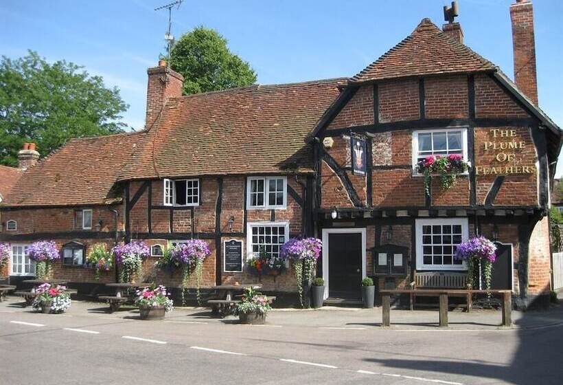 هتل The Plume Of Feathers