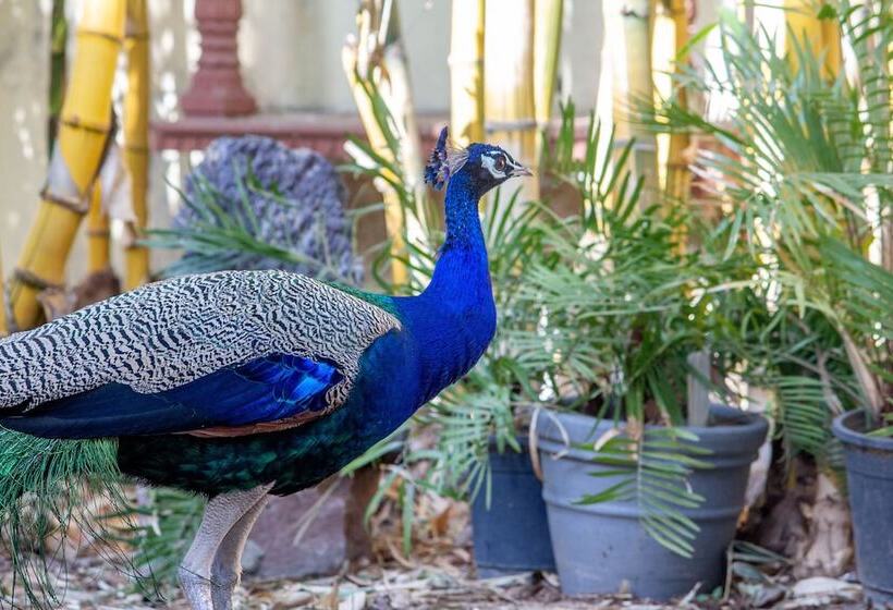 Fotos del hotel Anuraag Villa:  5