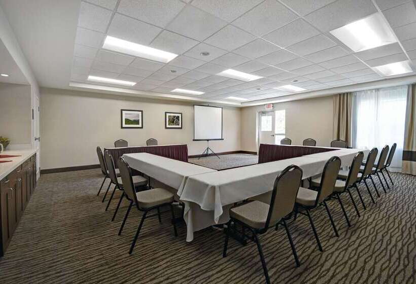 فندق Comfort Inn & Suites