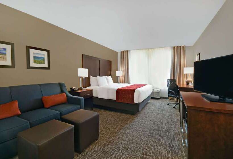 فندق Comfort Inn & Suites