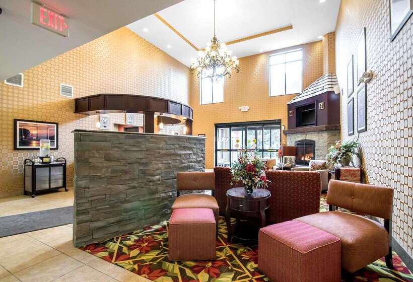 ホテル Comfort Inn & Suites