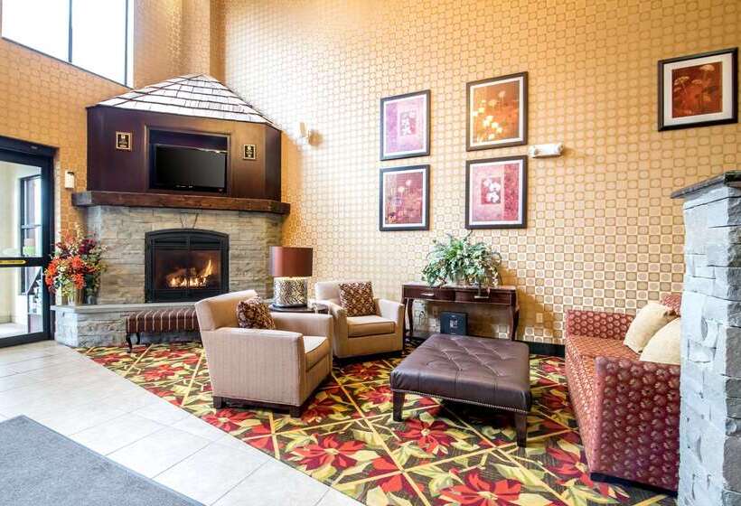 ホテル Comfort Inn & Suites