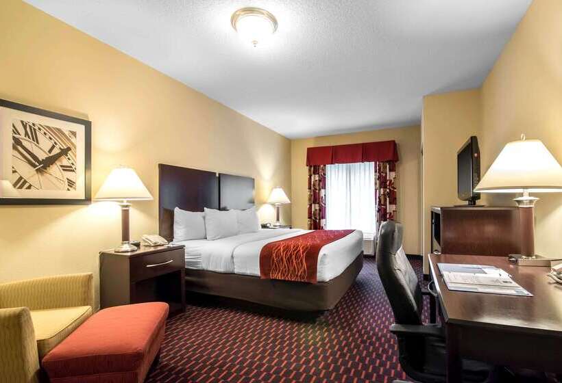 ホテル Comfort Inn & Suites