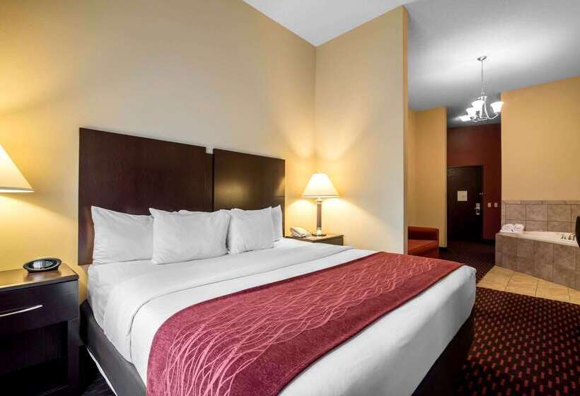 ホテル Comfort Inn & Suites