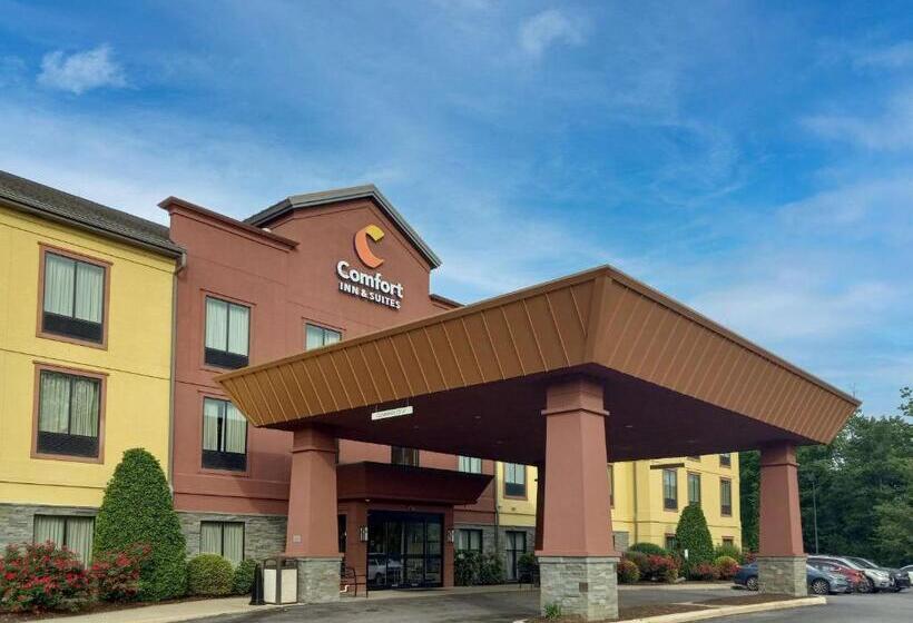 ホテル Comfort Inn & Suites