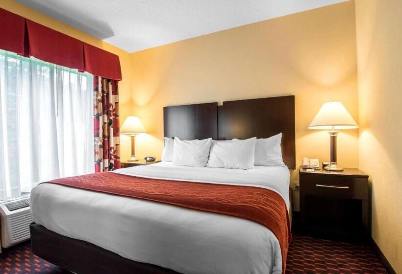 ホテル Comfort Inn & Suites