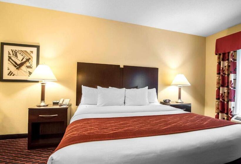 ホテル Comfort Inn & Suites