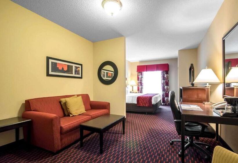 ホテル Comfort Inn & Suites