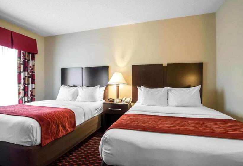ホテル Comfort Inn & Suites
