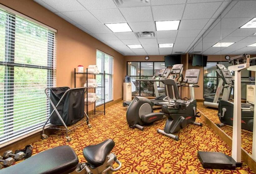 ホテル Comfort Inn & Suites