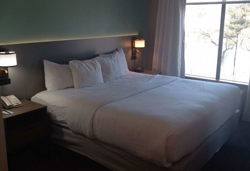 ホテル Comfort Inn & Suites
