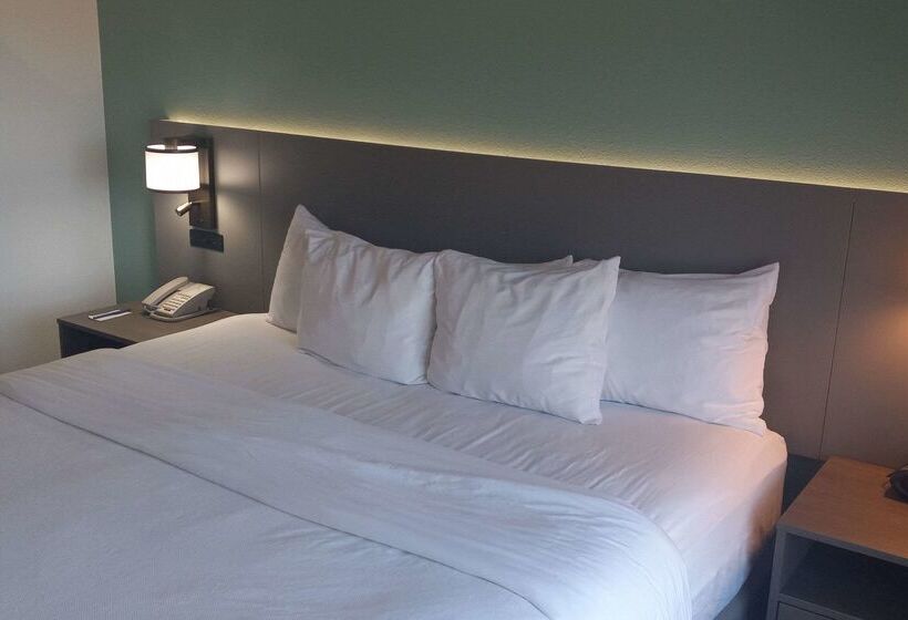 ホテル Comfort Inn & Suites