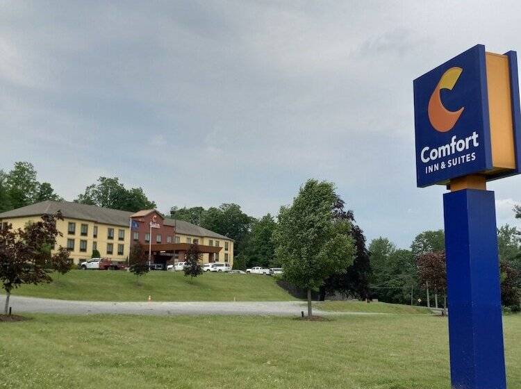 ホテル Comfort Inn & Suites