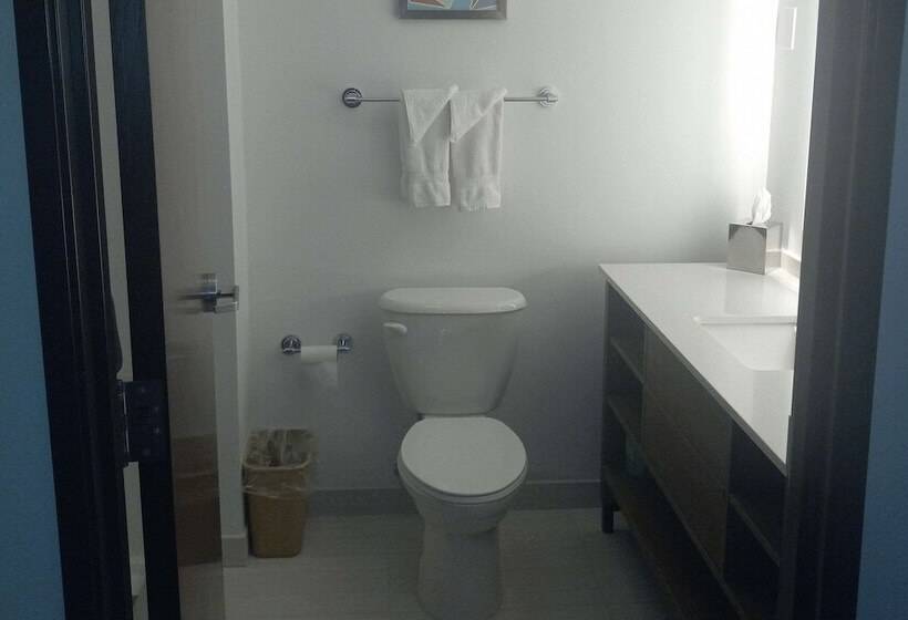 호텔 Comfort Inn & Suites