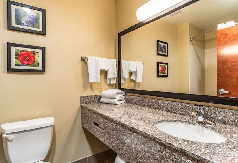 בית מלון כפרי Comfort Inn & Suites Tuscumbiamuscle Shoals