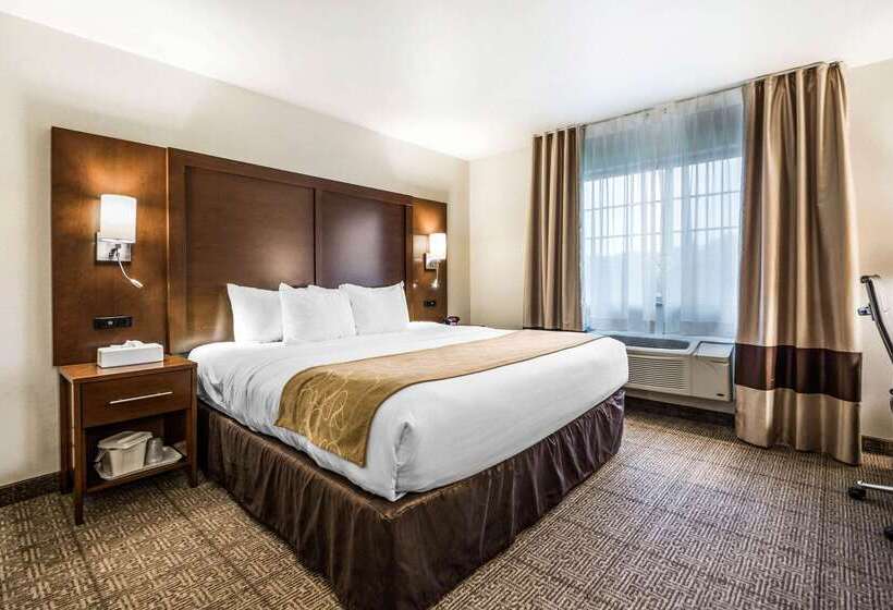 酒店 Comfort Suites At Par 4 Resort