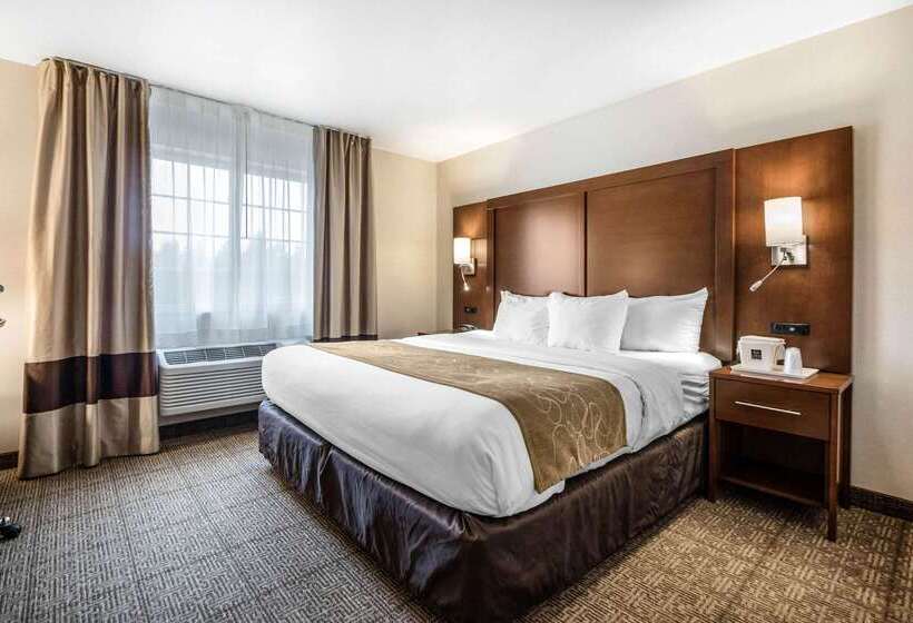 酒店 Comfort Suites At Par 4 Resort