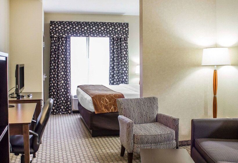 ホテル Comfort Suites Wilson  I  95
