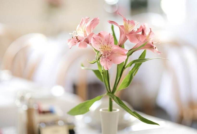 Fotos del hotel Edgar Townhouse:  2